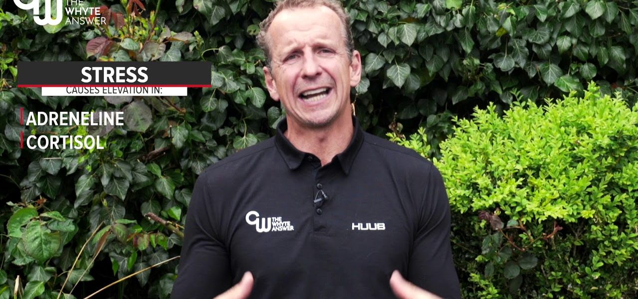 The Whyte Answer Greg Whyte talking about stress causes elevation in: Adreneline Cortisol