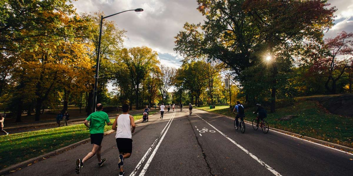 The Whyte Answer Elite Performance image of joggers